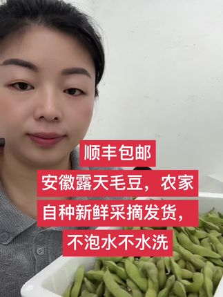 安徽新鲜露天毛豆,顺丰包邮,毛豆炒肉,水煮毛豆,都香味浓郁,欢迎新老客户下单咨询#优质农产品 #营养丰富 #农产品 #毛豆炒肉 #好吃又解馋