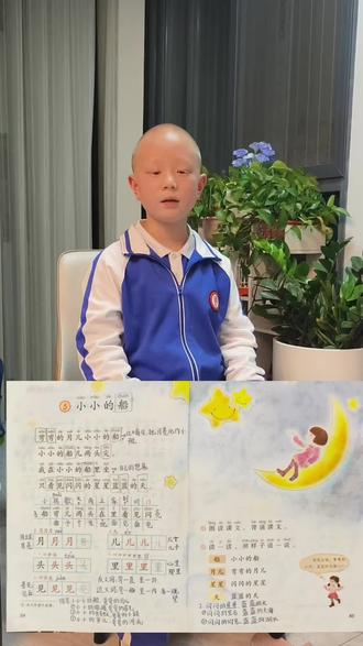 课本背诵+理解+仿写