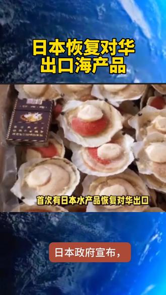 日本水产品对华出口恢复 北海道产冷冻扇贝已出货
