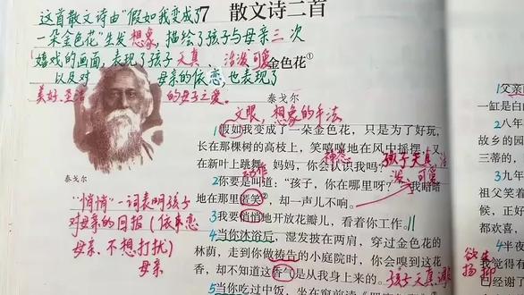 7上语文 第2单元 第7课 散文诗二首