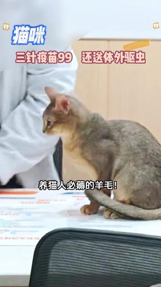 猫咪疫苗福利来喽!多猫家庭也适用哦!#妙三多 #猫咪疫苗 #萌悦家宠物医院 #宠物医院 #猫三联疫苗