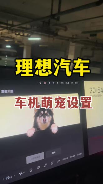 理想太懂用户了,新升级8.2绝了,如何设置爱宠屏保教程来了#理想汽车 #理想i8 #理想l8 #理想l7 #理想L6