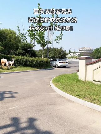 #奥妙洗衣液 #洁净柔软 #奥妙 #快洗衣服