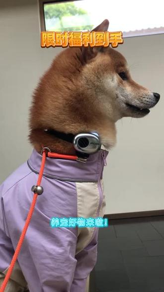 告别人宠沟通隔阂,萌小译智能推演。实时翻译,养宠更轻松。#Pettichat萌小译#养宠人的治愈瞬间#PettiChat萌小译#宠物黑科技#AI宠物翻译器@PettiChat萌小译宠语翻译器