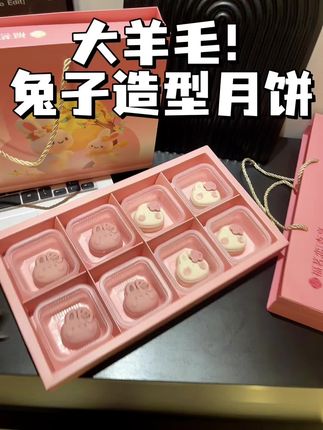 年年的老式月饼吃腻了 今年换个可爱的小兔子月饼 好看又好吃,我看谁还没有个好朋友#好看的月饼 #礼盒装月饼 #中秋月饼