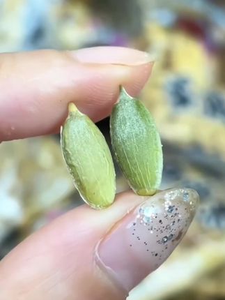 女孩子赶紧把#铁 重视起来!现在搞活动,价格超划算!#超便宜超划算 #富铁软糖 #女生必备#美人甲南瓜子