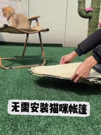猫咪狗狗是穴居动物真的好喜欢这种半封闭,的空间.这种带凉席的小帐篷.睡着凉快,又有安全感#宠物帐篷新手养狗#比熊#宠物凉席#可爱的小猫咪 #宠物帐篷