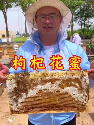 枸杞花蜜,蜜蜂自然酿造,零添加,色泽清透琥珀,入口清甜绵柔,自带淡淡枸杞花香,保真保纯 #枸杞蜂蜜 #蜂蜜 #土蜂蜜
