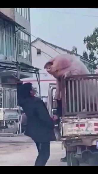 立春快乐呀 立春你一定也有姐姐给你转账吧!🤓