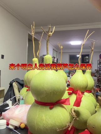 葫芦咋整对,评论区告诉我