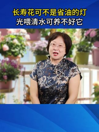 长寿花可不是省油的灯,光喂清水可养不好它#养花#花卉#养花小知识 #长寿花