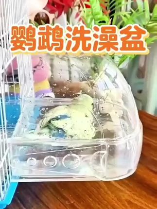 小鸟不洗澡浑身就难受!安上#小鸟洗澡盆 ,小鸟 就会自己钻进去洗澡,家里养鸟的都要给鸟宝备一个#鹦鹉 #好物推荐🔥 #居家好
