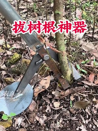 终于发明出来了,这个就是大家都在找的拔根神器,有了它再也不用费力去挖坑刨土了,只需要把它插进土里,然后用力一提就能轻松连根拔起。不管你是拔玉米、拔花生,还是拔各种杂草,都非常好使,家里备上一个,干活效率直接翻倍,赶紧点击下方链接抢购吧!#农用拔杆工具 #三农 #三农种植 #农具
