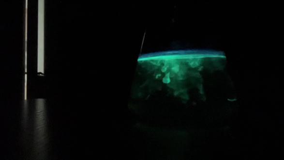 鲁米诺反应——隐藏在遗憾里的浪漫#化学实验#化学的魅力