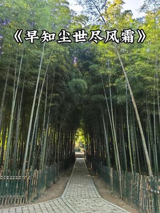#《早知尘世尽风霜》
译文:早就知晓这人世间满是风雨磨难。
译文:倘若一开始就明白这一生满是辛酸苦楚。
译文:试问当初还会不会心甘情愿来到人间历练。