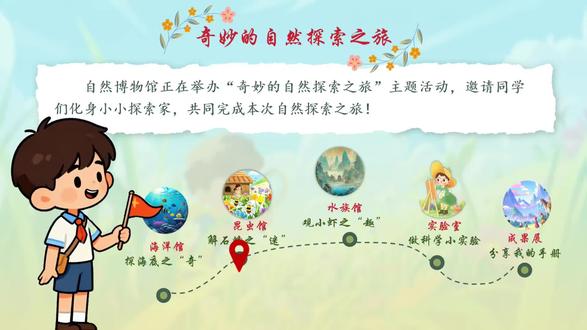 三下《石蜂》。小小石蜂,执着筑巢,于平凡中见坚韧!#石蜂 #ppt课件 #三年级语文 #三年级下册语文#小学语文