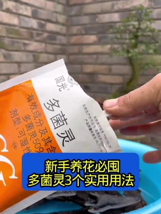 多菌灵的三个实用用法 #多菌灵的使用方法 #多菌灵 #花卉病害防治 #花卉常用杀菌剂 #花卉养护