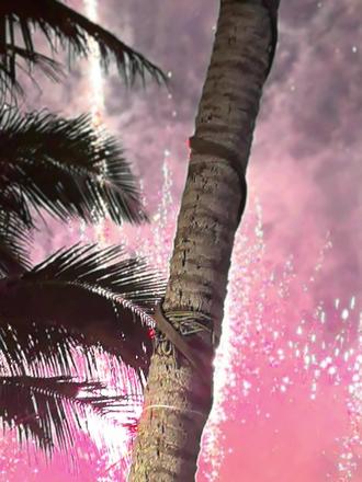 2026的浪漫,从万宁的海边烟花开始🌊
今晚的梅湾九里,海风都带着橘子汽水的甜。当烟花冲破夜空的瞬间,海浪恰好拍打着礁石,仿佛大海也在为新年鼓掌。
脚下是细软的沙滩,眼前是漫天璀璨。烟火向星辰,所愿皆成真,这一刻的万宁,把春节的仪式感拉到了极致。
不用滤镜,每一帧都是电影画面。让烟花的璀璨,照亮我们马年的滚烫前程;让大海的辽阔,包容我们所有的温柔期许。
这一站万宁,收藏了我对新年所有的美好想象🎇
📍坐标:万宁市梅湾九里(海边沙滩视野最佳)
📸出片秘籍:开启实况模式,抓拍烟花绽放的动态感;用烟花棒做前景,背景虚化拍人像,氛围感直接封神!
#万宁旅游攻略 #烟花 #海边生活 #春节 #马年