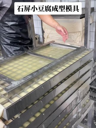 石屏小豆腐成型模具#技术培训 #制作过程 #豆腐技术 #豆制品设备 #爆浆豆腐