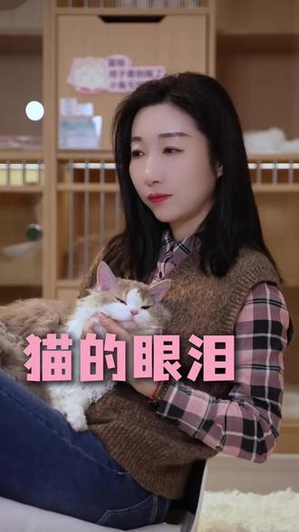 猫的眼泪#猫咪#猫猫#铲屎官#猫奴