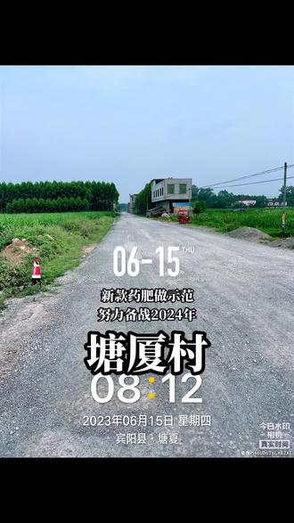 备战2024#甘蔗种植