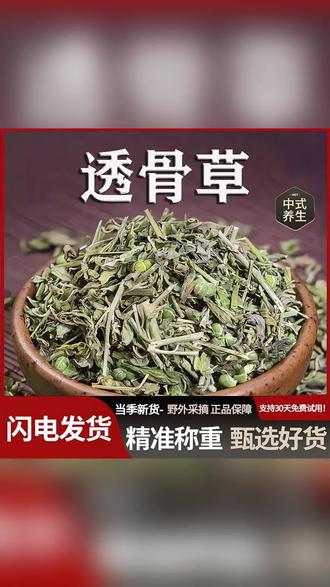 珍珠透骨草正品透骨草伸筋草精选新鲜自然晒干货#透骨草 #透骨草泡脚 #透骨草伸筋草