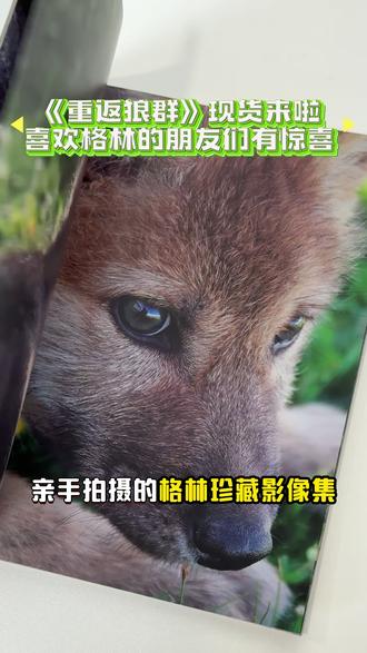 李微漪老师收到这套由磨铁和三环出版社联合打造的最新版《重返狼群》啦!电影里看不到的细节,全都藏在书里了!随书附赠两册格林高清影像集,从小狼成长为狼王的每个瞬间都包含。更惊喜的是,微漪老师说准备和亦风老师带着这套书一起打卡各地的格林墙!欢迎大家在评论区分享您@收到的书或是您当地的格林墙~#重返狼群 #李微漪 #格林 #好书分享
