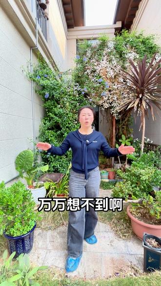 只要199万,精装修别墅,房东只住了1年,装修了100多万