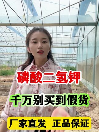 #农业主播周玲 #磷酸二氢钾 正品闪溶磷酸二氢钾小黄车下单有优惠