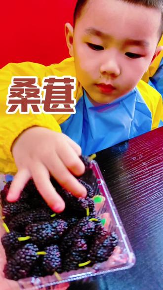 拓印:桑葚
蘸取深浅紫,
点点拓出满枝甜,
把初夏的酸甜,都藏进画里🍇