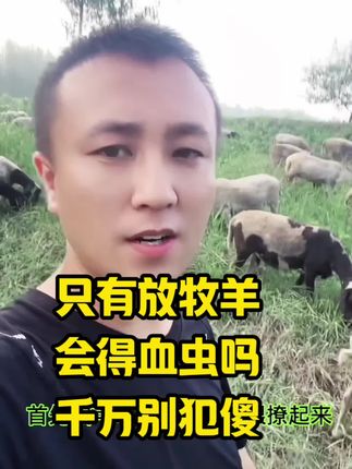 #养羊人 #牛羊血虫病 #分享养殖知识传播正能量 #羊羔人工喂养