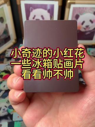 小奇迹:你看我帅不帅就完事啦#大熊猫 #大熊猫小奇迹 #来这吸熊猫 #冰箱贴 #国宝