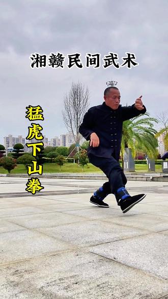 想学看视频,拜师学艺请进门#武术#民间武术#湘赣民间武术#宜春水江快荣武术#龙门教