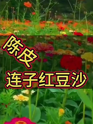 回复 @花花零食乐园的评论 #上热门🔥 #营养健康 #陈皮连子红豆沙#瓷碗里盛着琥珀色的陈皮莲子红豆沙,刚端上桌,陈皮的清苦香就混着红豆的绵甜飘过来,像秋日午后晒透的阳光,暖得让人安心。