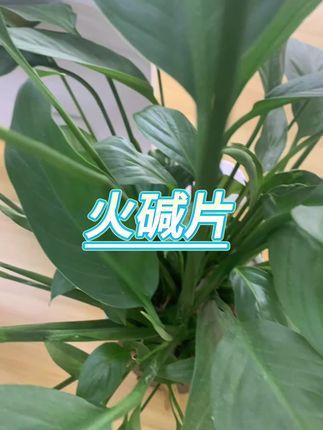 #火碱片 #去油污 #清洁剂
