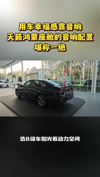 用车幸福感靠音响,天籁鸿蒙座舱的音响配置堪称一绝!#雅阁 #凯美瑞 #天籁鸿蒙座舱