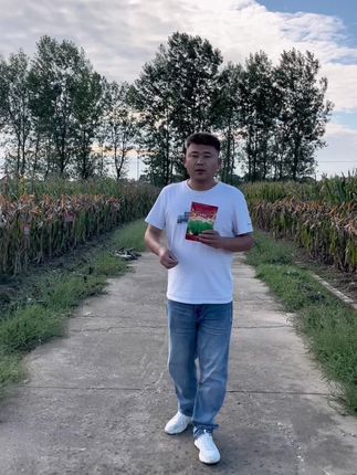 壮香油油菜种分枝能力强,分支可达12-19根,单株角数500-510,千粒重达到4.45克,其籽粒含油量高达51.86%,品种属于矮杆实心杆,株高1.5米左右,抗倒伏能力强。同时,它还具有抗病虫害、抗高温、抗冻害、抗鸟害等特点,零下20度以内都能平稳过冬,适应性广,适合南方、北方多种气候条件下种植,管理起来非常方便。壮香油属于中早熟品种,整个生育期在207天左右,#壮香油 #油菜种植 #油菜种子