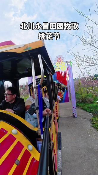 北川永昌镇田园牧歌桃花节现场!坐小火车看桃花!#桃花节欢迎你 #春日出游 #游乐园小火车 #户外游玩