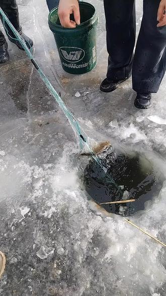 冬季捕鱼大作战捕鱼达人