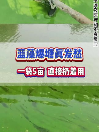 不用为蓝藻发愁了#蓝藻净#鱼耀#厂家直发