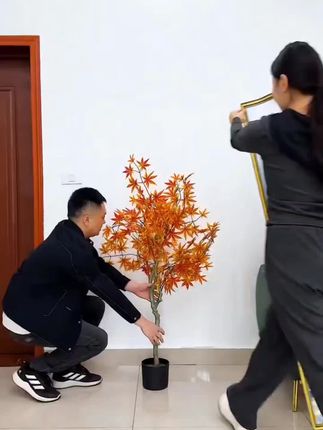 家里的房门和玄关都可以贴上这款自粘画,防水耐脏,好撕易贴,图案高清,精致又美观#壁画#防水贴画#装饰贴画#玄关画#家居好物