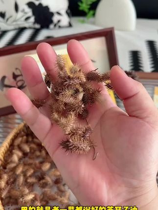 老一辈都认得#苍耳子油 终于出这种棉签装的啦!植物成分很温和,换季一定要备到家里#宝宝护理#母婴好物