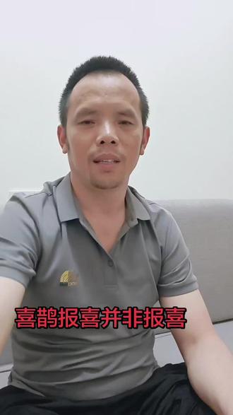 #我要上热门 #喜鹊报喜 #文化传承 #中国传统文化 #传统文化 给大家讲一下喜鹊报喜,喜鹊不同时间叫,它寓意是不同的。