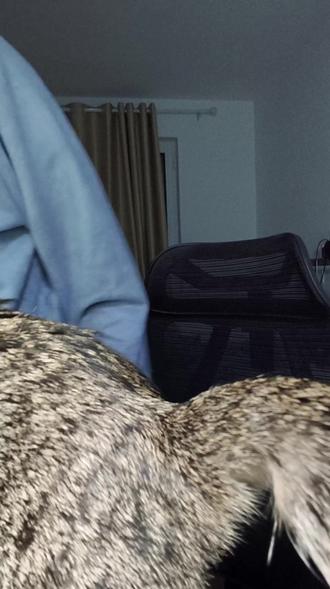 真心吐槽,搞流量让人面目全非 今天真被整破防了,怎么会有这么离谱的流量执念呢?#餐饮 #餐饮老板 #尼姑素食馆 #爆款短视频 #爆款