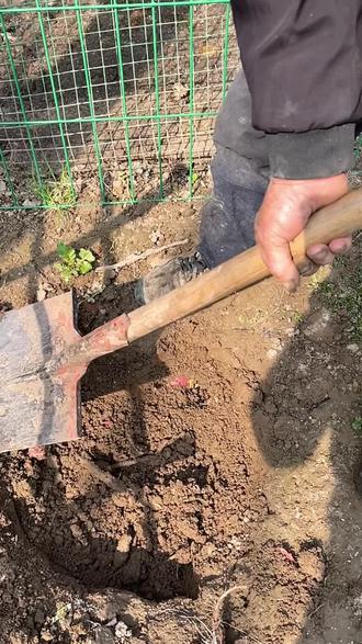 73岁一辈子独居 只希望大爷生活越来越好 谢谢大家的支持 #关爱留守老人 #创作者中心 #创作灵感