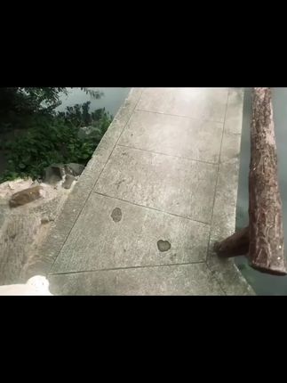 #手串 #文玩爱好者 #文玩手串 #盘它就完了 #盘串