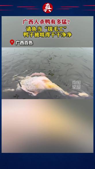 #“拔毛工#还有这种操作 ”