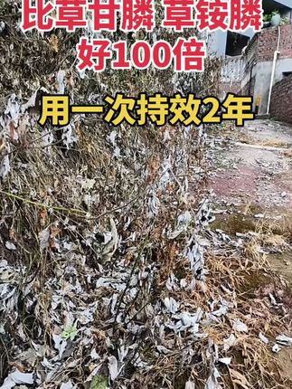 #甲嘧磺隆 #除杂草 #非耕地除草剂 #三农流量扶持计划 #抖音助农