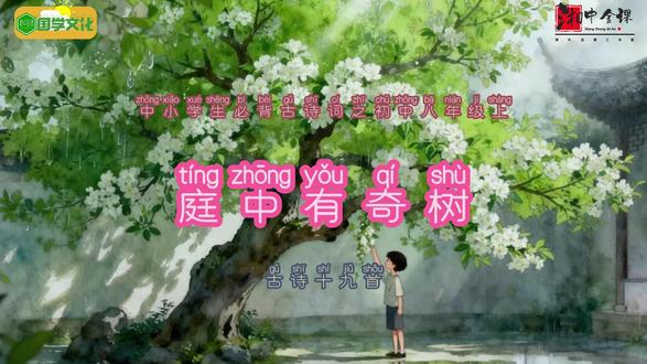 初中生必背古诗词8137古诗十九首《庭中有奇树》 初中生必背古诗词8137古诗十九首《庭中有奇树》#初中必背 #古诗词 #中华文化 #古风 #八年级上册
