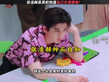 张凌赫帅而自知 #张凌赫 #金靖 #剪映 #宅家dou剧场 #灵魂画手